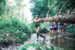 BIB: 
                            <button type="button" onclick="openModal(25443232)" class="btn btn-primary btn-sm float-right btn-popup" data-toggle="modal" data-target=".modal-high-quality">
                        <i class="fas fa-shopping-cart"></i> Add to Cart
                    </button>
                                            <button type="button" onclick="isThisMe(25443232, true)" class="btn btn-success btn-sm float-right btn-popup btn-isme hidden" data-toggle="tooltip" data-placement="bottom" title="นี่คือรูปของคุณใช่ไหม คลิกที่นี่เพื่อเอาเข้าอัลบั้ม">
                        <i class="fas fa-plus"></i> Add to album
                    </button>
                    <button type="button" onclick="isThisMe(25443232, false)" class="btn btn-warning btn-sm float-right btn-popup btn-isnotme hidden">
                        <i class="fas fa-ban"></i> Remove from album
                    </button>